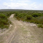 Mowlee Trail