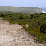 Views of coast from track