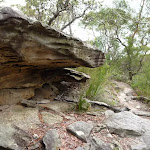 Small cave north of Campbells Creek
