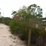 Intersection of trail north of Campbells Creek