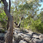 Rocky section west of Currawong Road track