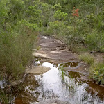 South-West Creek