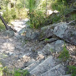 Steep track west of Joe Crafts Creek