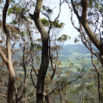 View From Awaba State Forest
