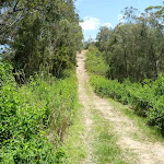 Trail near Heaton Gap
