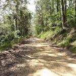 Walking along the road north of Heaton Lookout
