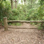 Plesent timber gate on the narrowing trail