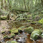 A rocky  creek on the Great North Walk