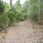 Trail near the ned of Glen Rd