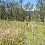 Congewai Valley Trail on The Great North Walk