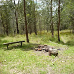 Seat and fire scar at Watagan Creek campsite
