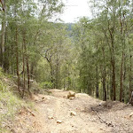 Along the rocky track, Turners Rd