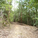 Turners Road, Olney State Forest