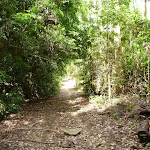 The Bar Trail
