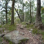 Rocky track, south of rest area