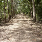Kangaroo Point Road