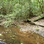 Crossing Wollombi Brook