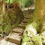 Timber steps, south of Kangaroo Point Road