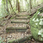 Timber steps north of Wollombi Brook Pool