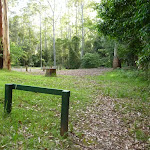 Basin campsite in the Watagans