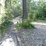 An unsealed trail meets Walkers Ridge Road