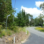 Intersection of Forest and Bumble Hill Roads