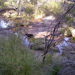 Looking down at the creek from the track