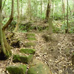 Stone steps near the old trail west of Stringy Bark Point