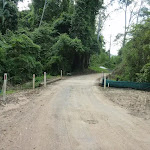 Bridge on Ourimbah Creek Road Near Palm Grove NR
