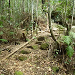Rocky track winding through the Palm Grove NR