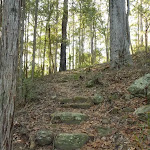 Steps on the south side of Palm Grove Nature Reserve 