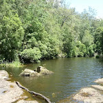 Upstream of the Mooney Mooney Creek crossing