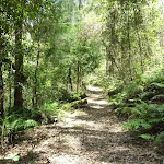 The wide track south of the Mooney Mooney Creek crossing