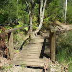 Small bridge near beside the lower section of Piles Creek