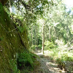 Mossy rock walk west of Phil Houghton Bridge