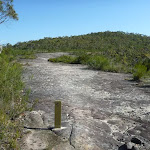 GNW arrow posts showing the way on the rock platforms in Brisbane Waters NP