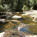 Lyrebird Gully creek