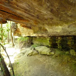 Southern Lyrebird Gully Cave