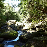 small cascades on Calna Creek 