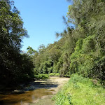 Wide sandy section of Calna Creek