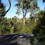 Rock  platform south of Patonga Creek