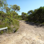 Int of Tunnel Track and Mt Wondabyne trail