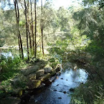 Fish ladder on the Lane Cove River