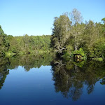 The Lane Cove River, just above the weir