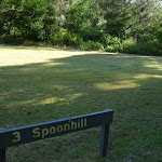 Spoonbill picnic area
