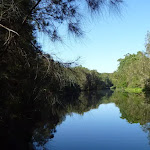 Lane Cove River near the Boat Shed