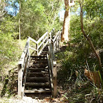 Riverside Corporate Park Scenic Trail steps