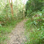 Track on the Galgabba Point walk