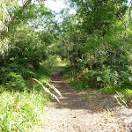 Wide track on the Galgabba Point walk