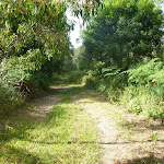 Wide section of track on the Galgabba Point walk